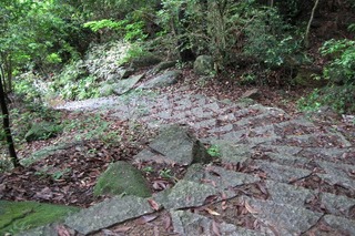 IMG_1409.JPG