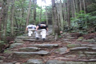 IMG_1411.JPG