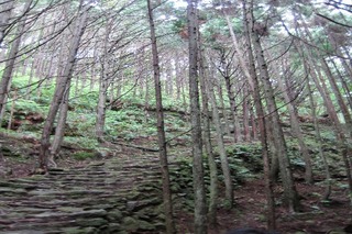 IMG_1414.JPG