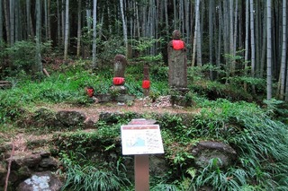 IMG_1429.JPG