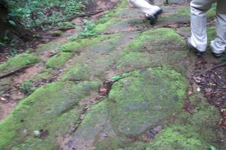 IMG_1438.JPG