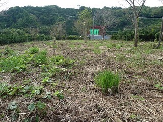 P1000973.jpg