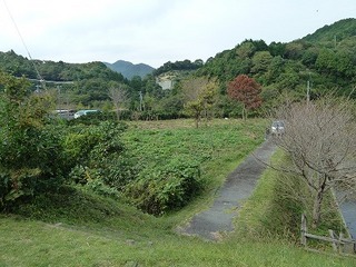 P1000982.jpg