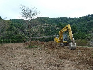 P1010047.jpg