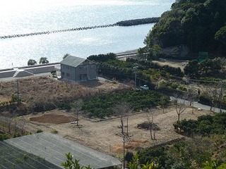 P1010752.jpg