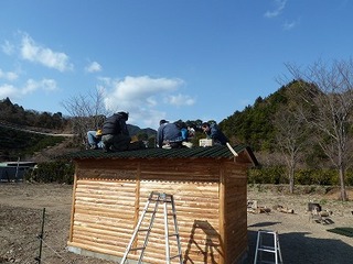 P1010803_2.jpg