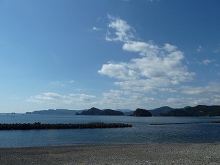 P1010831.jpg