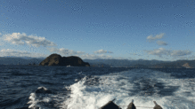 boat.gif