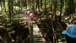 hajikami-hashi.gif