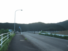 hashi-temae.gif