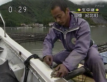 kaki-azeshisan.png