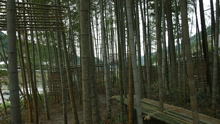 kamiyama4.gif