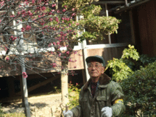 kubo-san-ume.gif