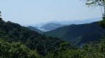 nizaka-2.gif
