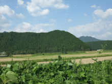 satoyama.gif