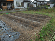 tamanegi.gif